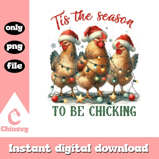Tis the season to be chicking design png, christmas chicken​ png