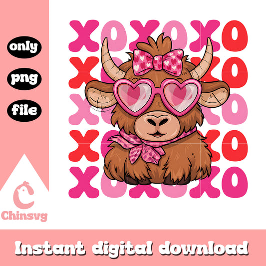 Valentine heifer highland cow xoxo png, heifer cow png, valentine png