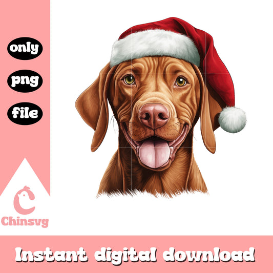 Vizsla dog face santa hat design png, christmas dog png​