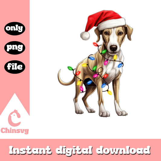 Whippet dog santa hat christmas lights png, dog whippet​ png